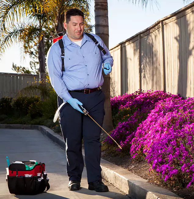 Why Choose Roswell Pest Control Pros in Roswell, GA?
