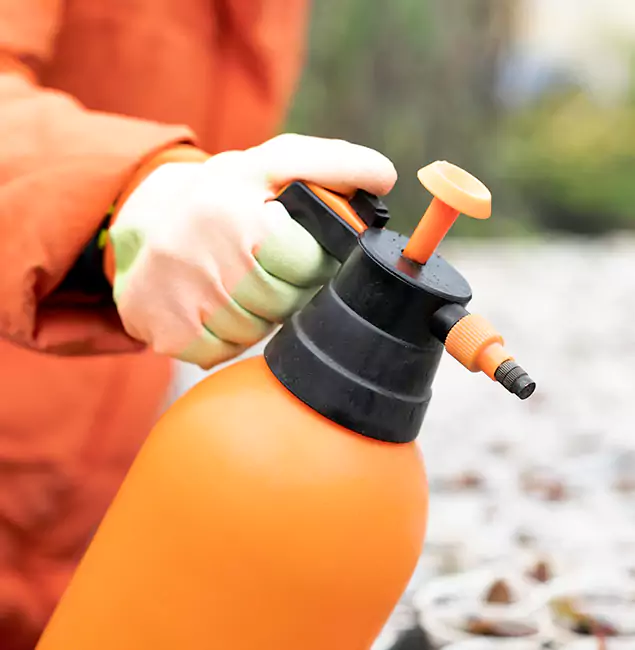 Why Choose Roswell Pest Control Pros for Orange Termite Treatment in Roswell, GA?