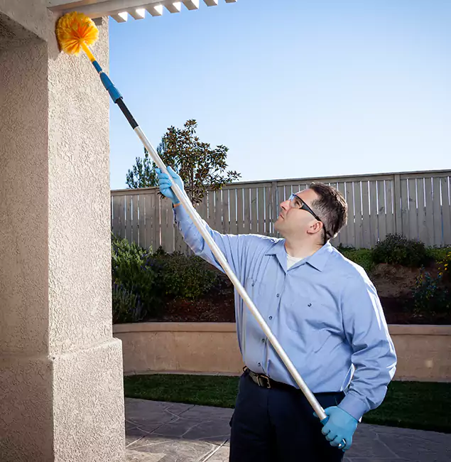Why Choose Roswell Pest Control Pros for Pest Control Services in Roswell, GA?