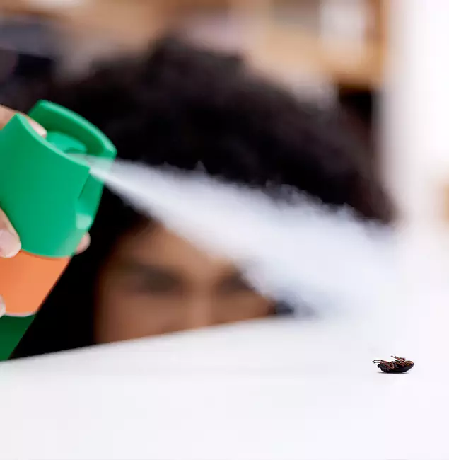 Why Roswell, GA Homeowners Choose Roswell Pest Control Pros for Roach Pest Control?