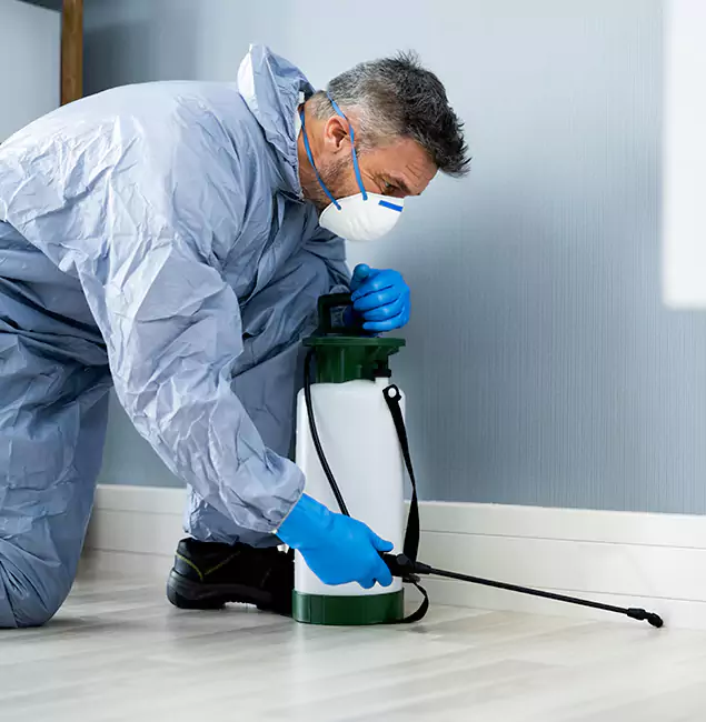 Why Choose Roswell Pest Control Pros for Subterranean Termites Treatment in Roswell, GA?