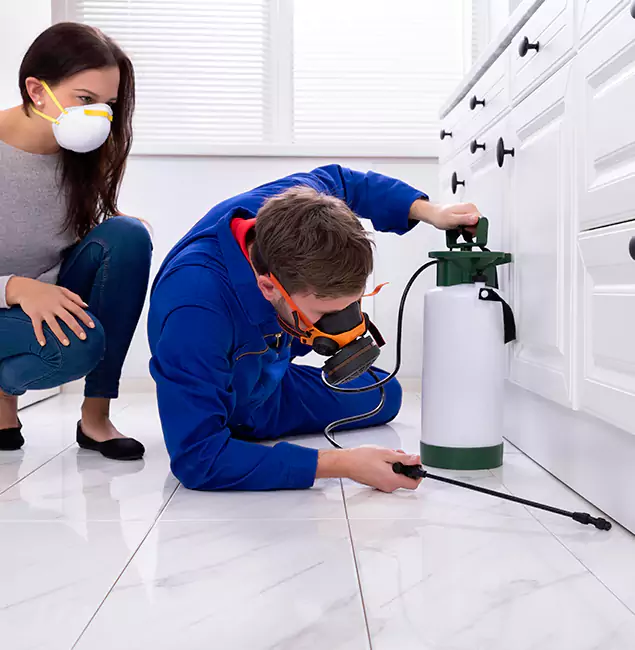 Why Choose Wood Termite Treatment by Roswell Pest Control Pros in Roswell, GA?