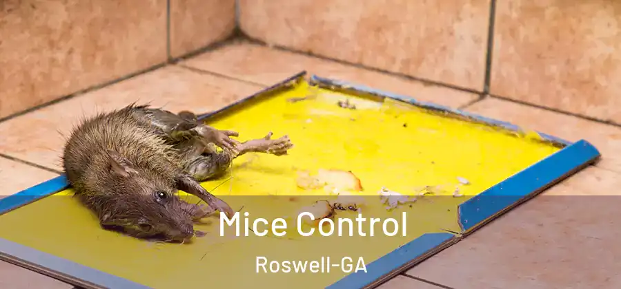Mice Control Roswell-GA