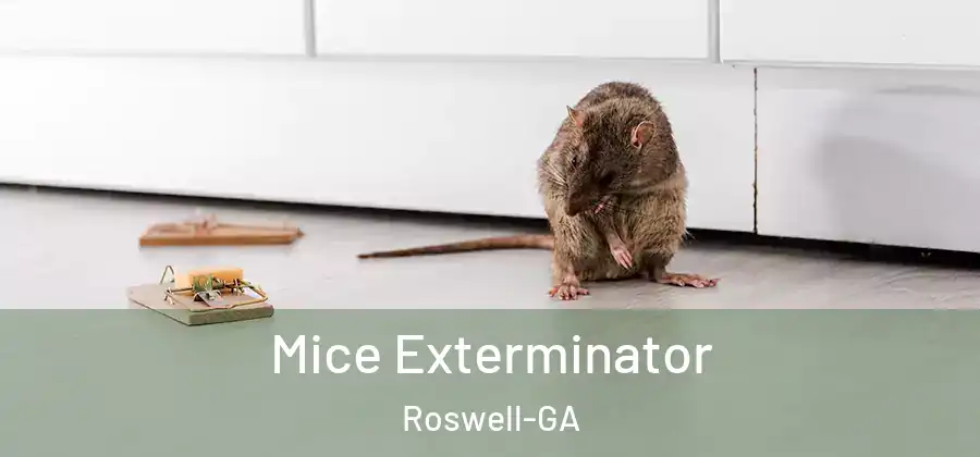  Mice Exterminator Roswell-GA