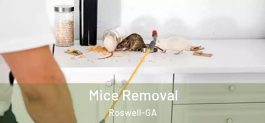 Mice Removal Roswell-GA