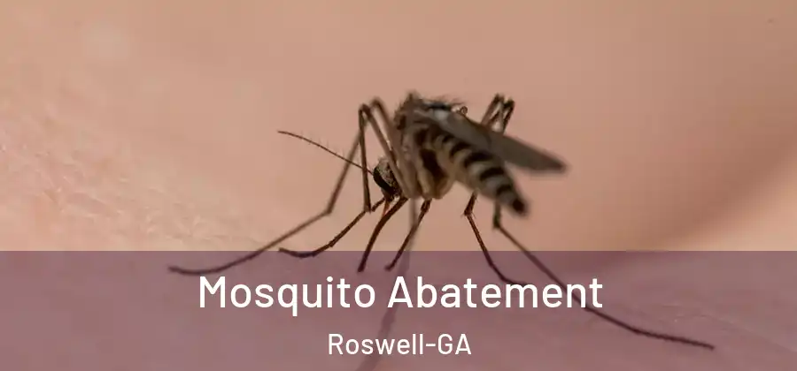 Mosquito Abatement Roswell-GA