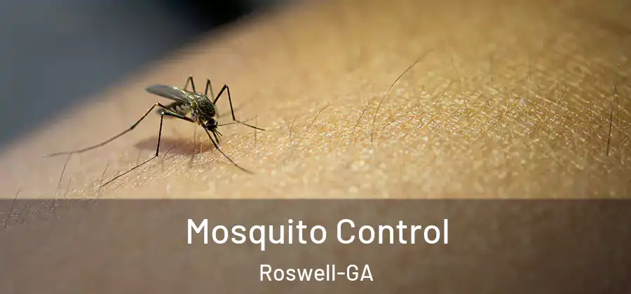 Mosquito Control Roswell-GA