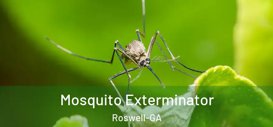 Mosquito Exterminator Roswell-GA