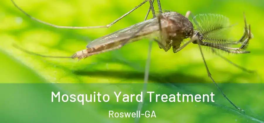 Mosquito Yard Treatment Roswell-GA