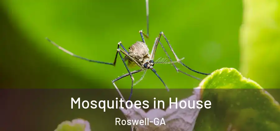 Mosquitoes in House Roswell-GA
