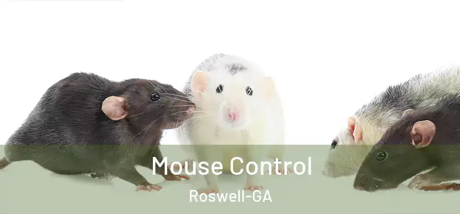 Mouse Control Roswell-GA