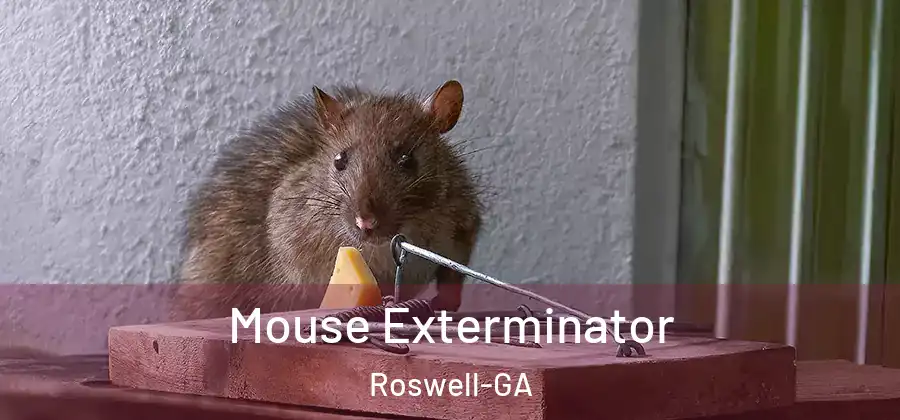 Mouse Exterminator Roswell-GA