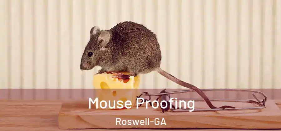Mouse Proofing Roswell-GA