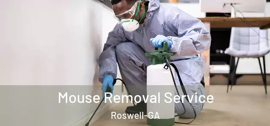 Mouse Removal Service Roswell-GA