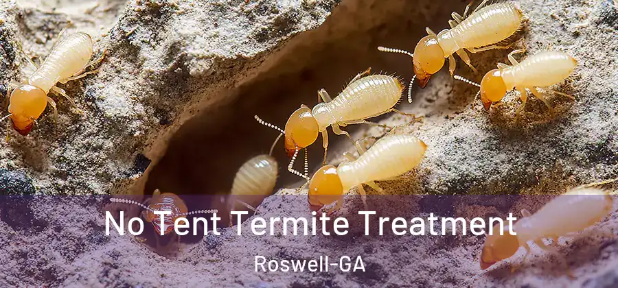 No Tent Termite Treatment Roswell-GA