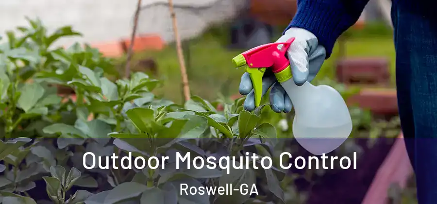 Outdoor Mosquito Control Roswell-GA