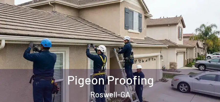Pigeon Proofing Roswell-GA