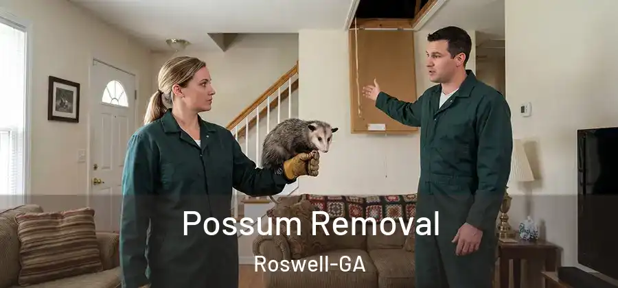 Possum Removal Roswell-GA