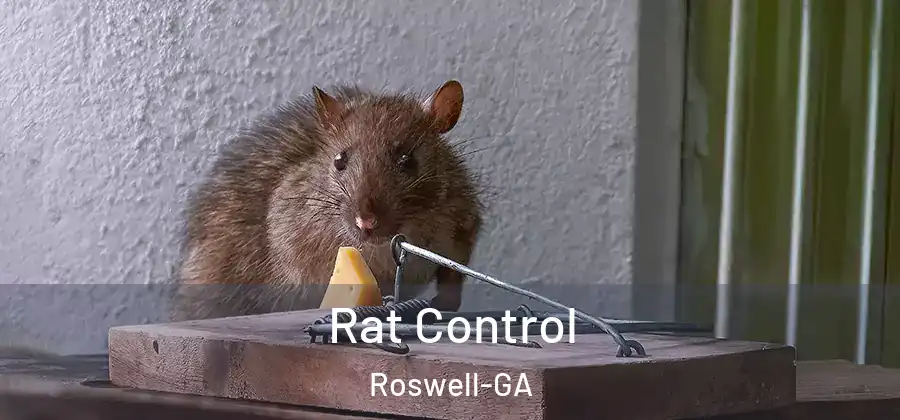 Rat Control Roswell-GA