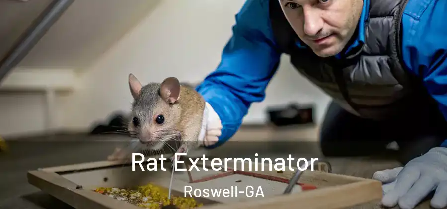 Rat Exterminator Roswell-GA