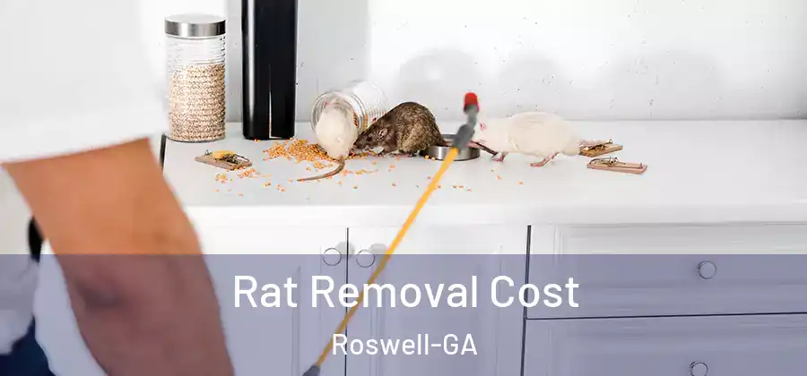 Rat Removal Cost Roswell-GA