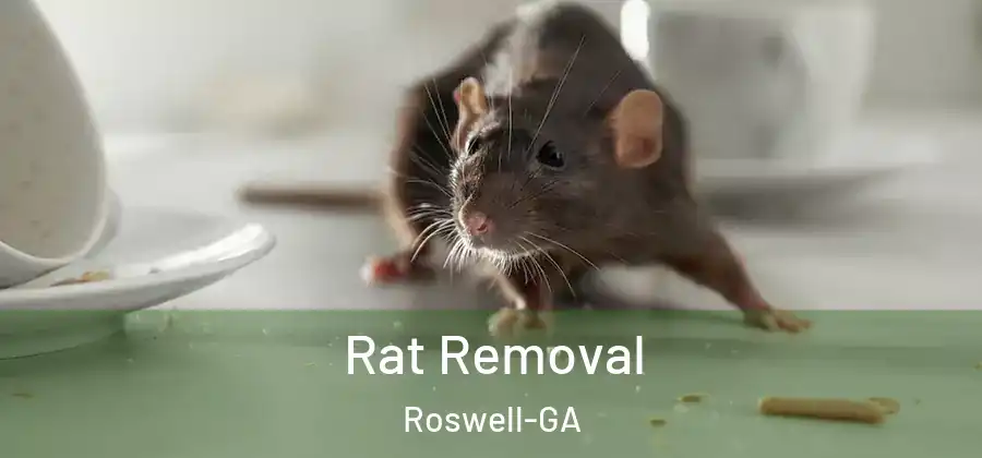  Rat Removal Roswell-GA