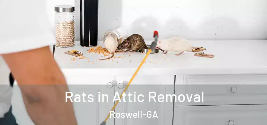 Rats in Attic Removal Roswell-GA