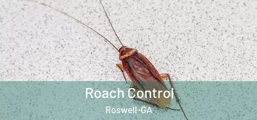 Roach Control Roswell-GA