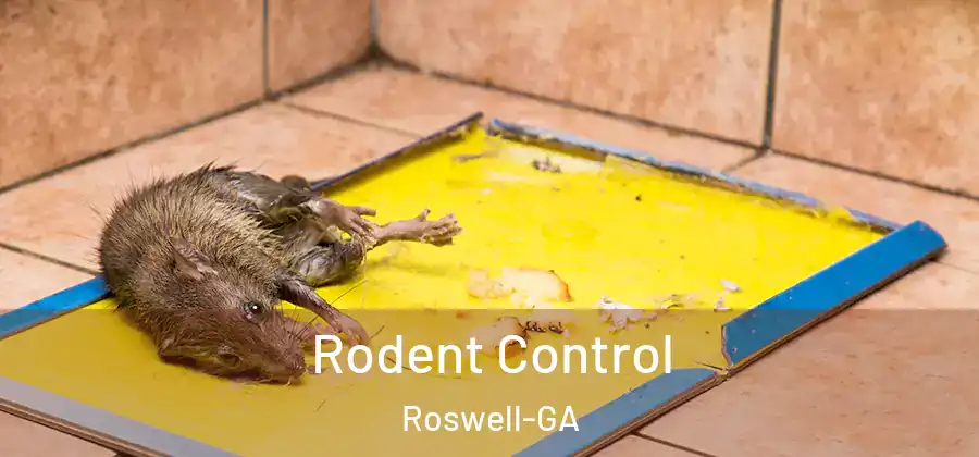 Rodent Control Roswell-GA