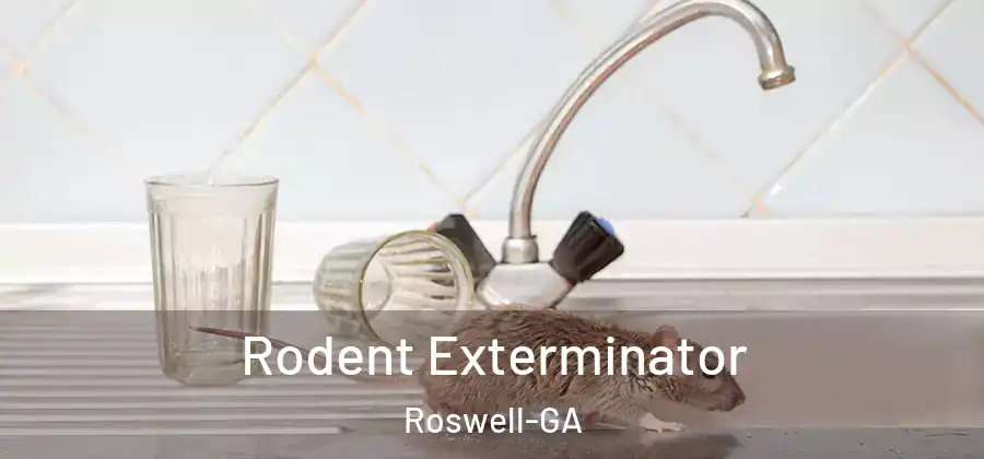 Rodent Exterminator Roswell-GA