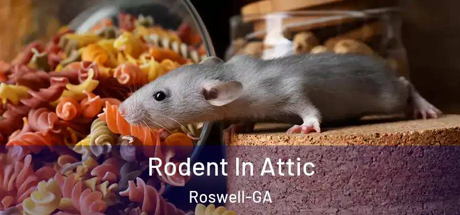 Rodent In Attic Roswell-GA