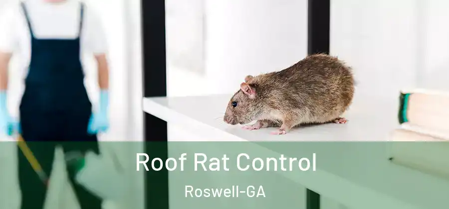 Roof Rat Control Roswell-GA