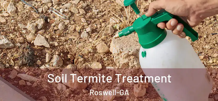 Soil Termite Treatment Roswell-GA