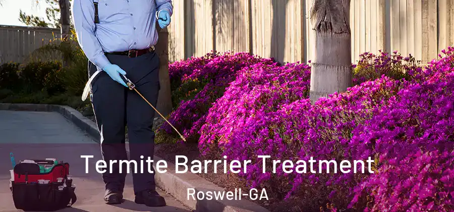 Termite Barrier Treatment Roswell-GA