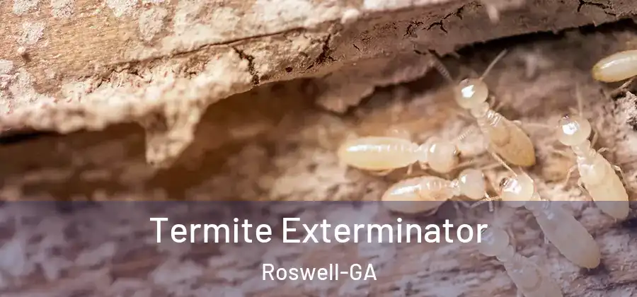 Termite Exterminator Roswell-GA