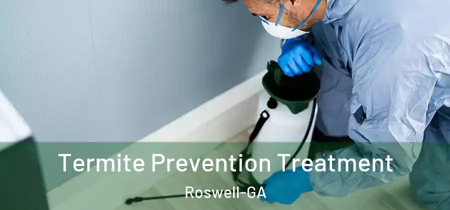 Termite Prevention Treatment Roswell-GA
