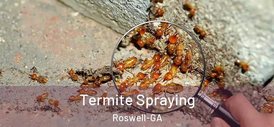 Termite Spraying Roswell-GA