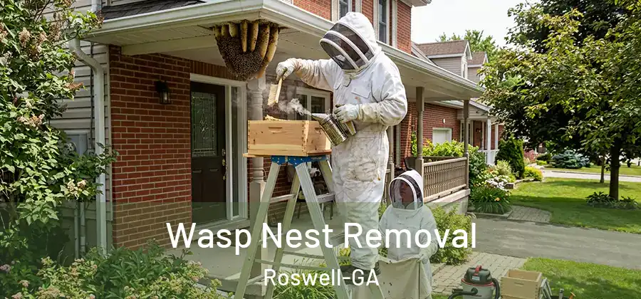 Wasp Nest Removal Roswell-GA