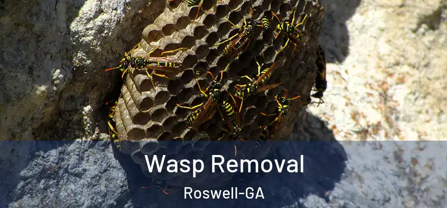 Wasp Removal Roswell-GA