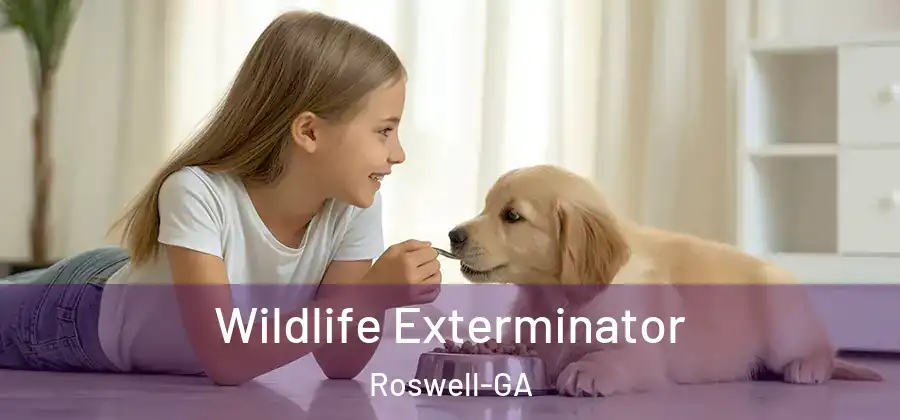 Wildlife Exterminator Roswell-GA