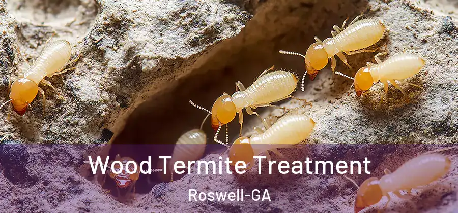 Wood Termite Treatment Roswell-GA